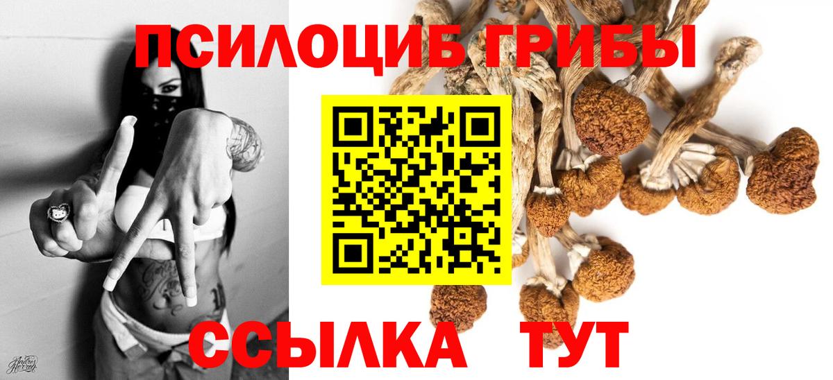 Кондопога  где купить наркотик  Вход с VPN  Псилоцибиновые грибы MAGIC MUSHROOMS  Галлюциногенные грибы MAGIC MUSHROOMS 
