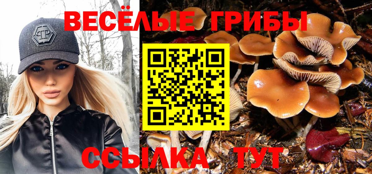 Псилоцибиновые грибы Cubensis Кондопога